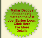 Auction news!